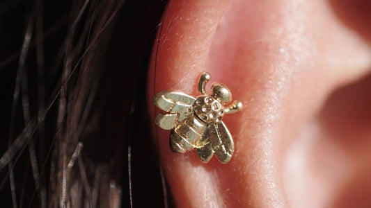 kulak piercingi