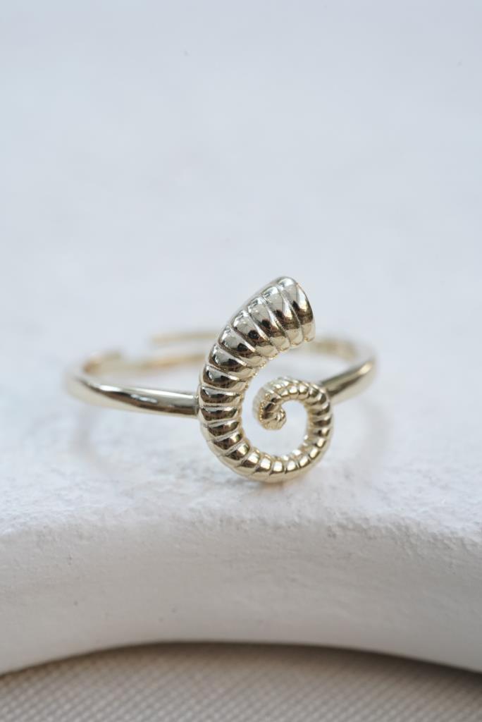 Spiral Deniz Kabuğu Yüzük - 925 Ayar Gümüş