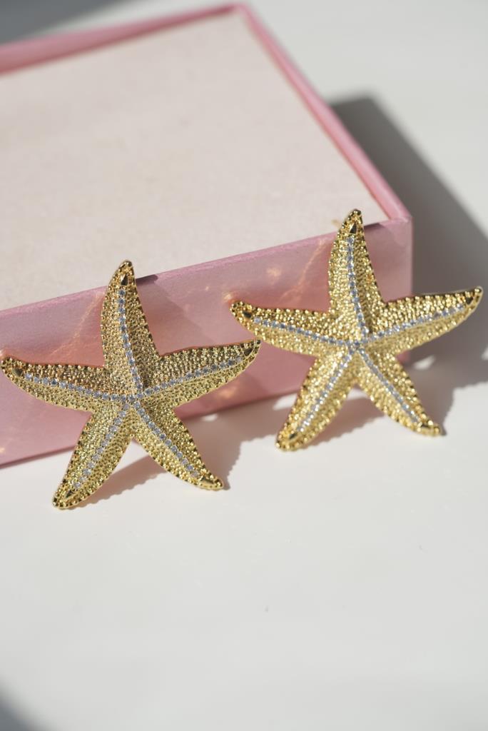 Taşlı Deniz Yıldızı Küpe